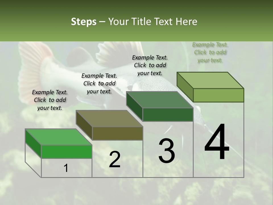 Phractocephalus Sheatfish Red PowerPoint Template