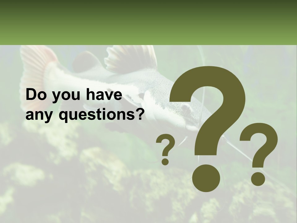 Phractocephalus Sheatfish Red PowerPoint Template