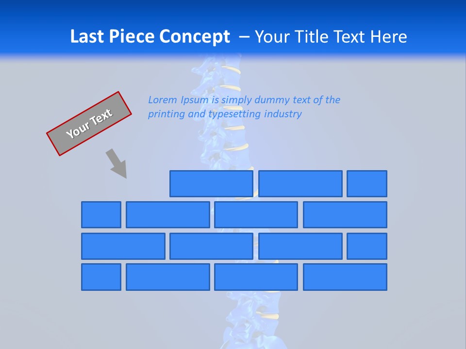 Arthritis Skeleton Spinal PowerPoint Template
