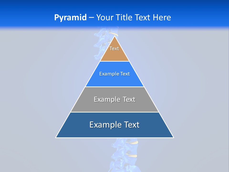 Arthritis Skeleton Spinal PowerPoint Template