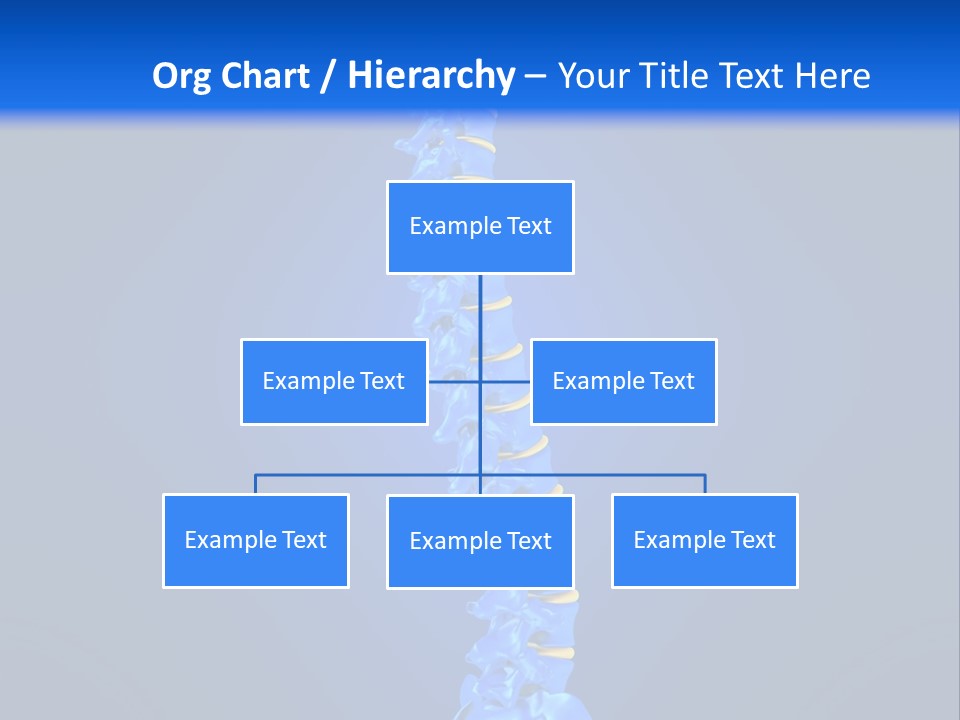 Arthritis Skeleton Spinal PowerPoint Template