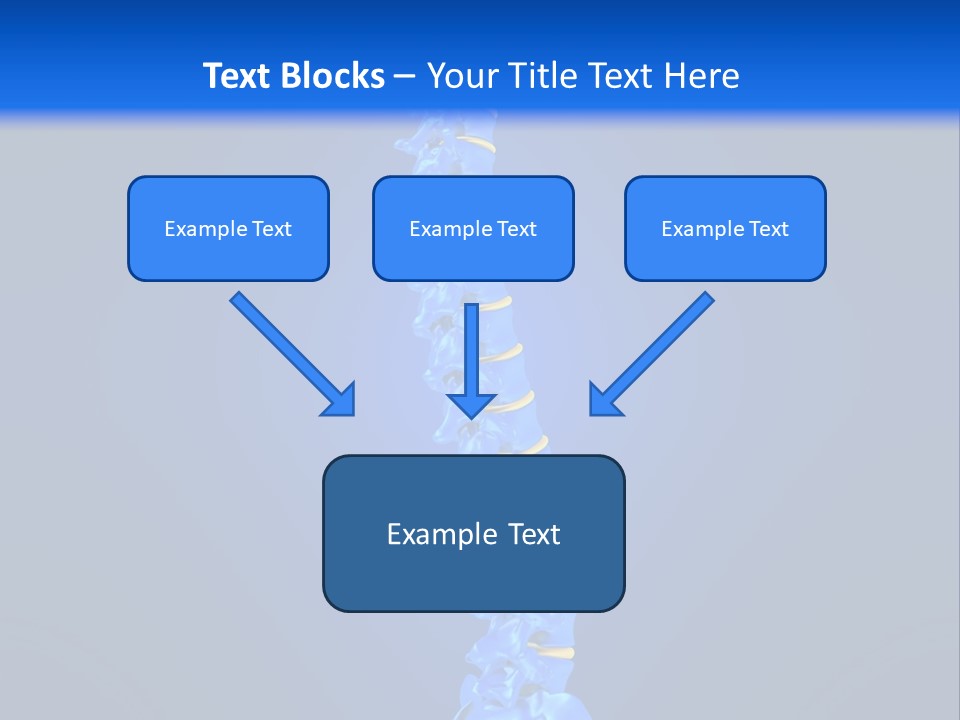 Arthritis Skeleton Spinal PowerPoint Template