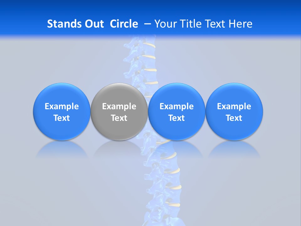 Arthritis Skeleton Spinal PowerPoint Template