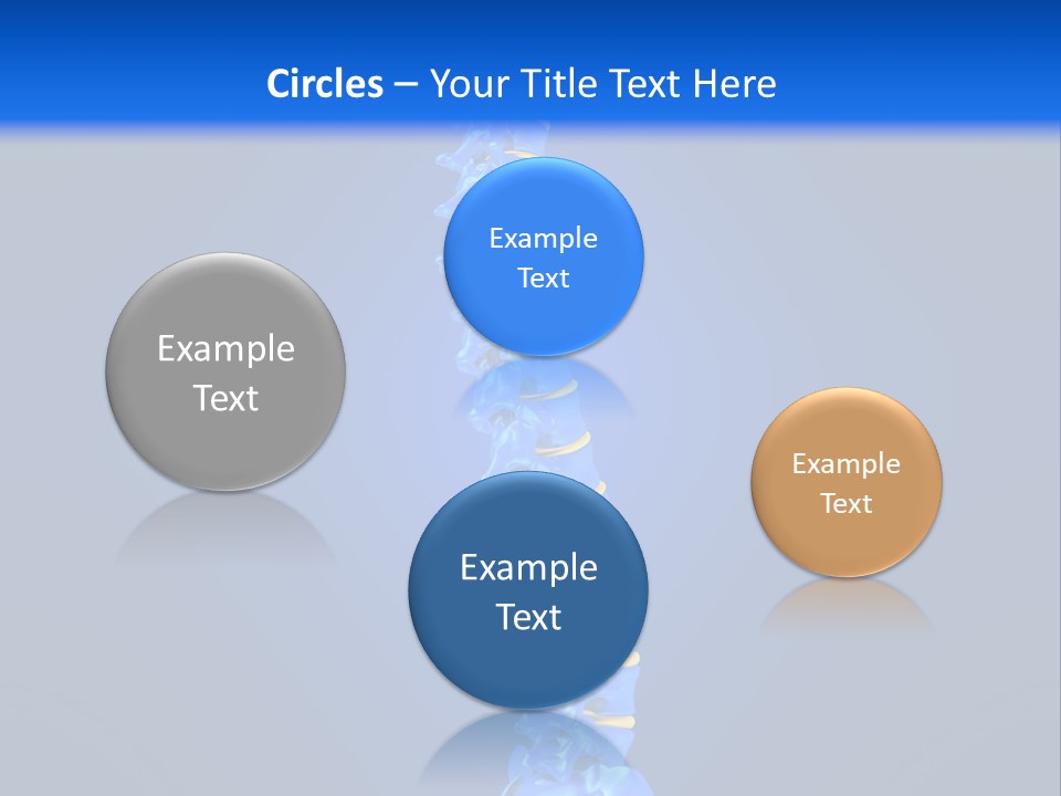 Arthritis Skeleton Spinal PowerPoint Template