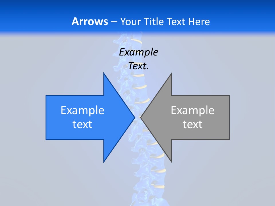 Arthritis Skeleton Spinal PowerPoint Template