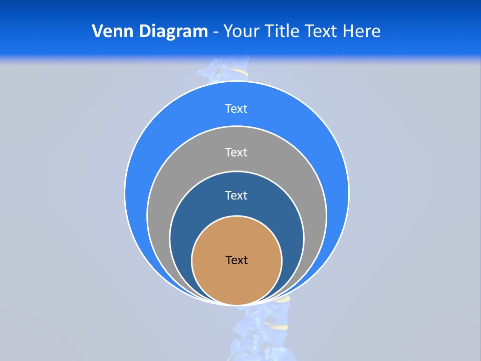 Arthritis Skeleton Spinal PowerPoint Template