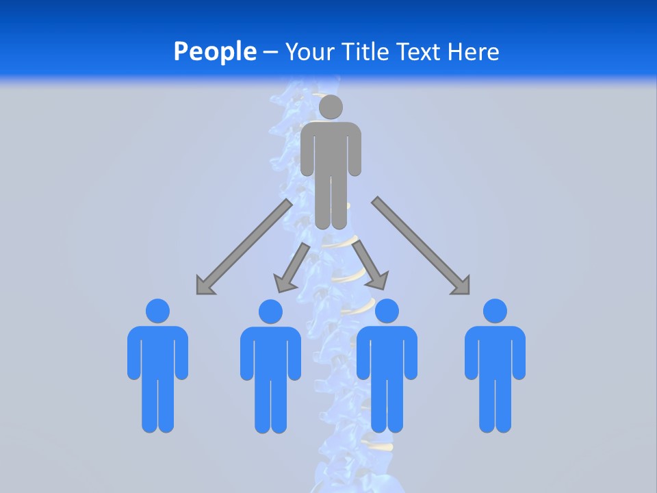 Arthritis Skeleton Spinal PowerPoint Template