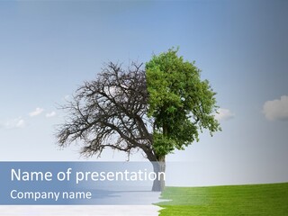 Spring Winter Green PowerPoint Template