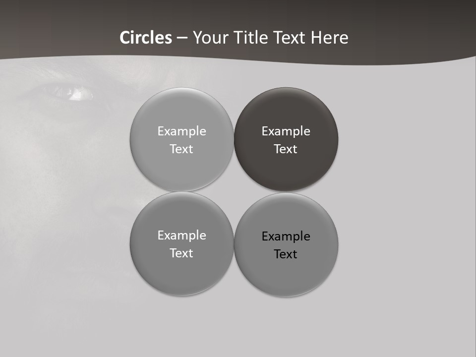 Face Male Handsome PowerPoint Template