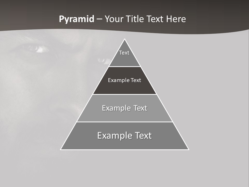 Face Male Handsome PowerPoint Template