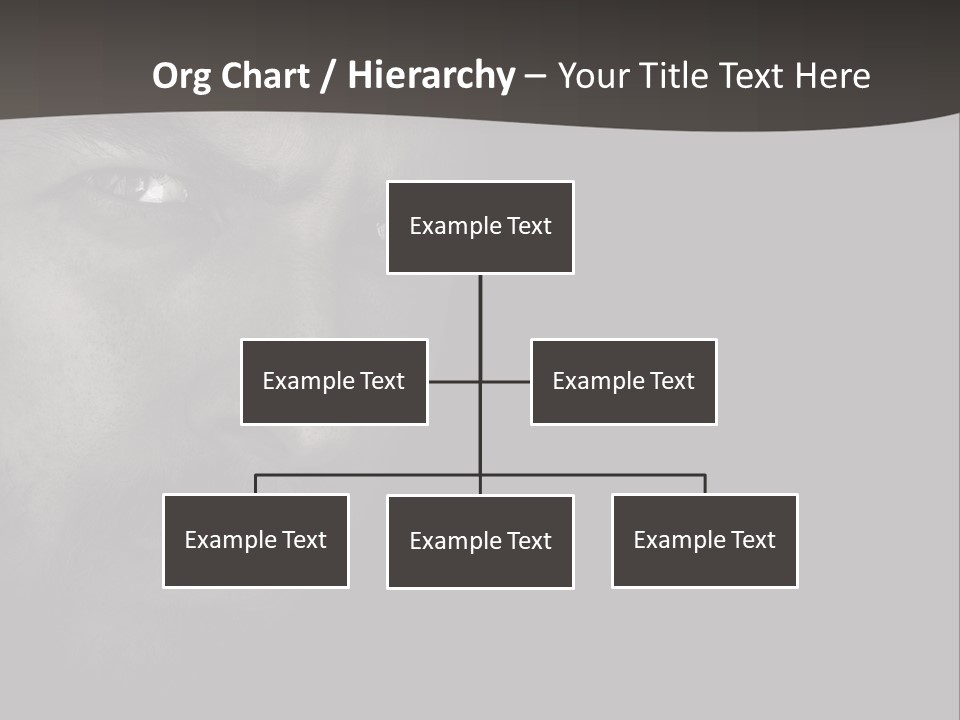 Face Male Handsome PowerPoint Template