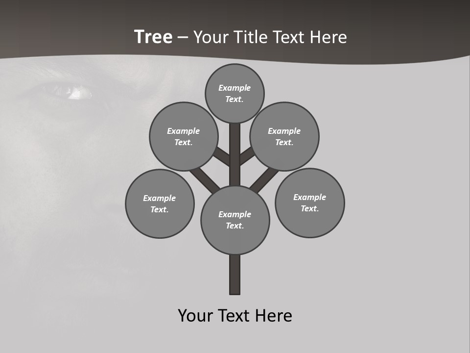 Face Male Handsome PowerPoint Template