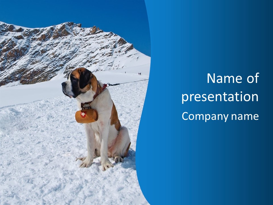 Snow Large Nature PowerPoint Template