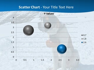 Snow Large Nature PowerPoint Template