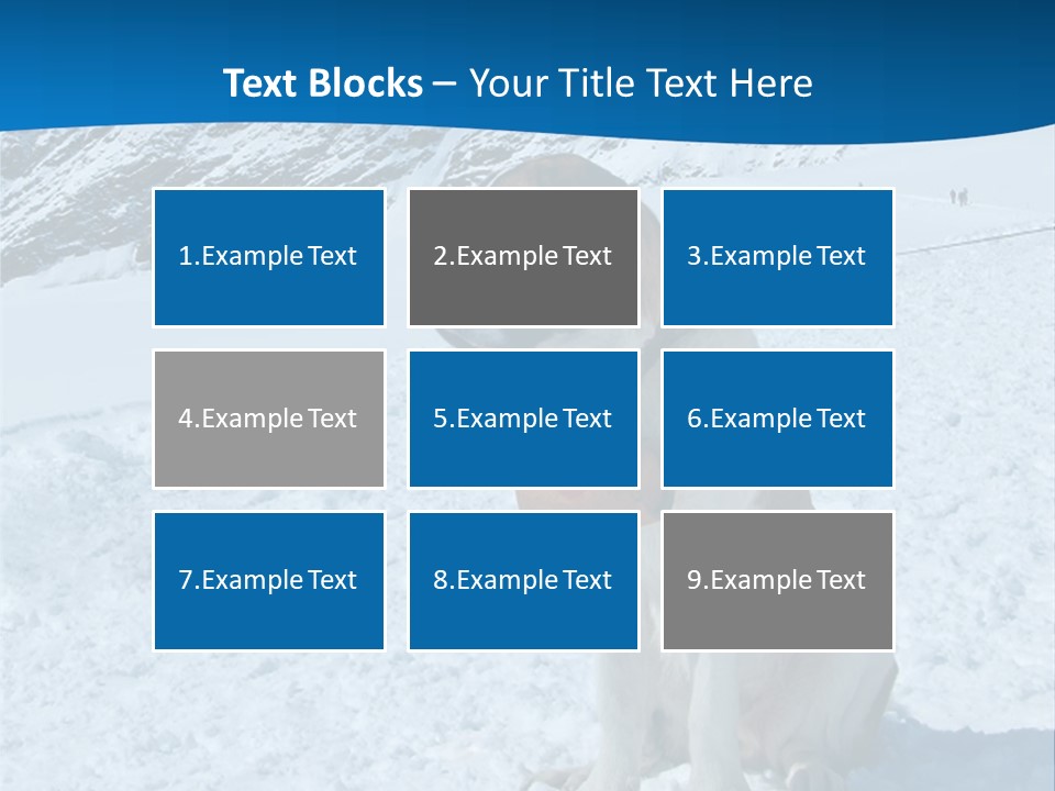 Snow Large Nature PowerPoint Template