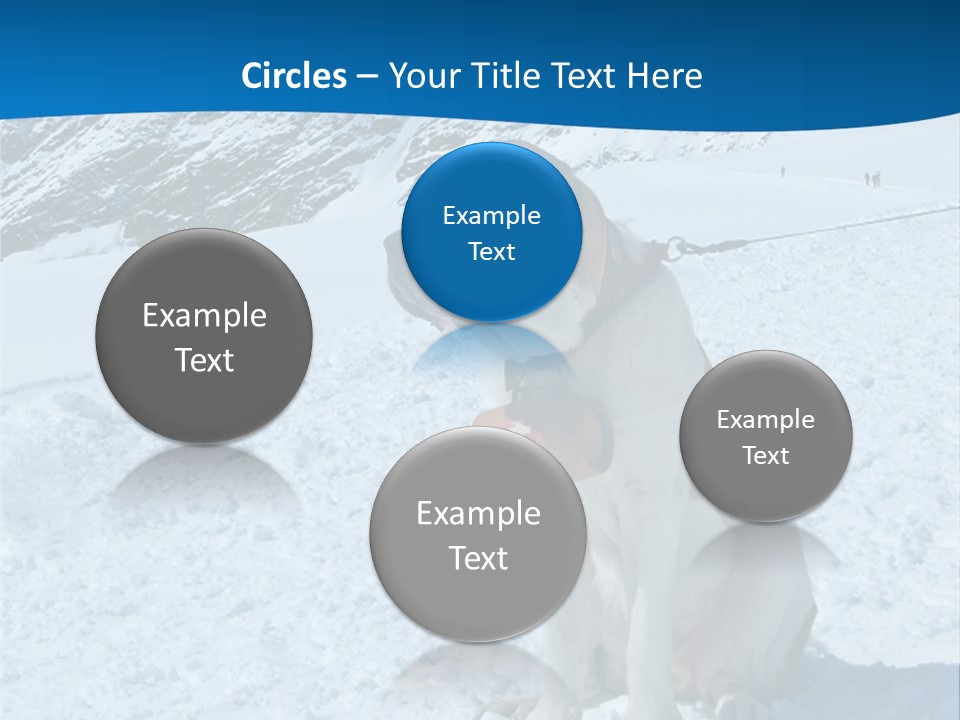 Snow Large Nature PowerPoint Template