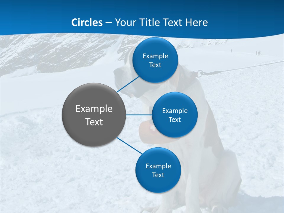 Snow Large Nature PowerPoint Template
