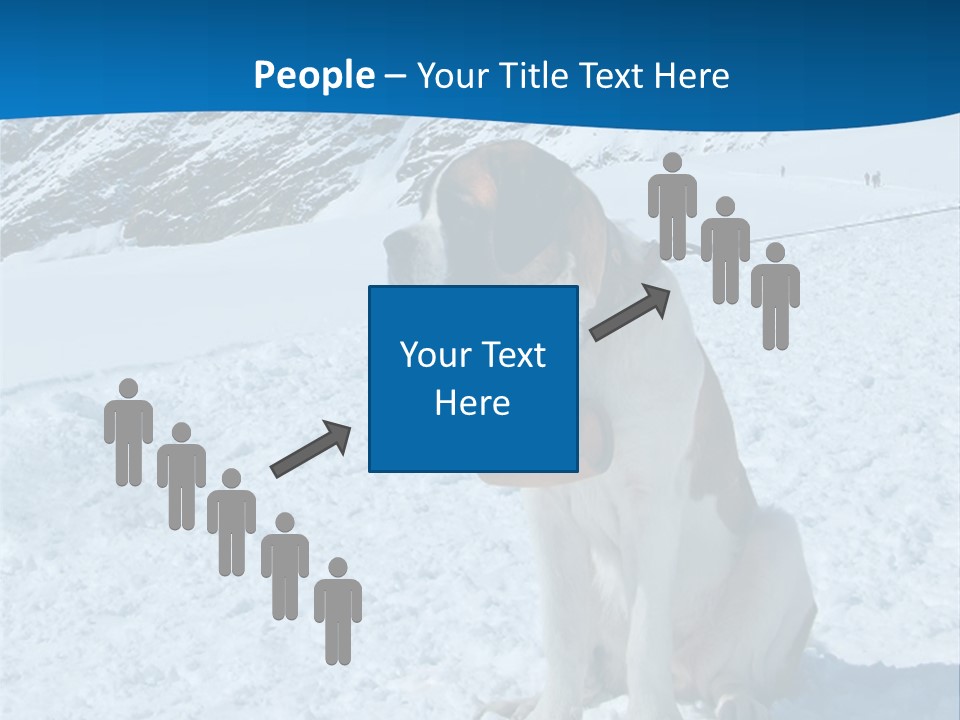 Snow Large Nature PowerPoint Template