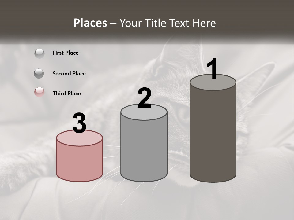 Tail Stripes White PowerPoint Template