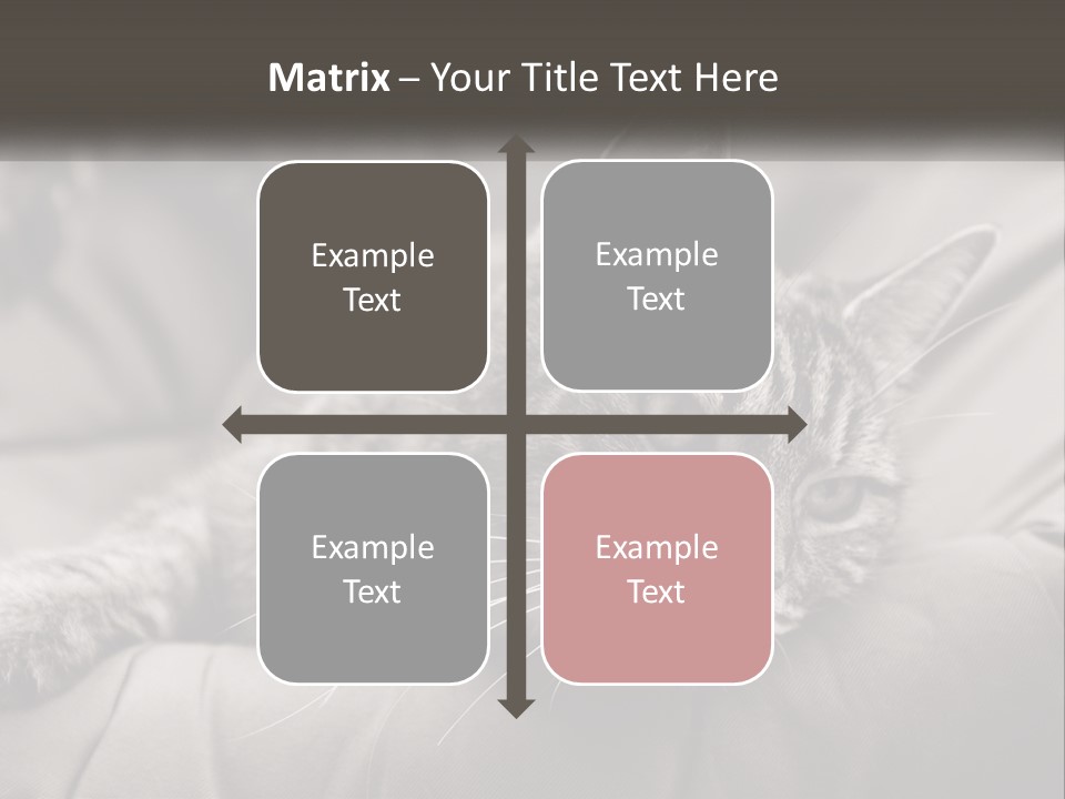 Tail Stripes White PowerPoint Template