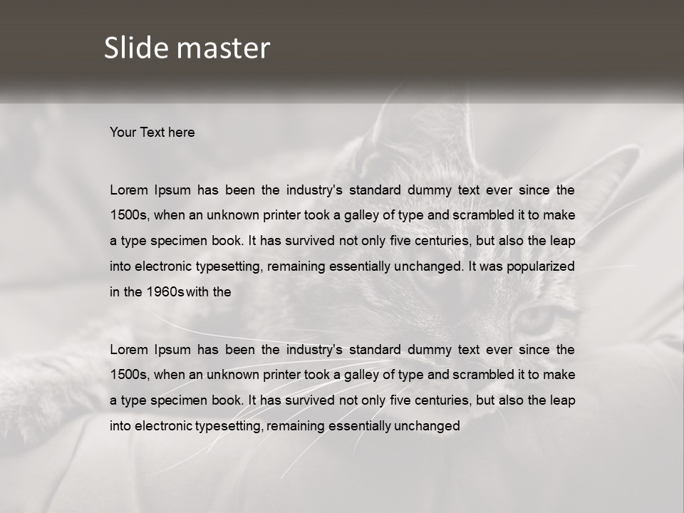 Tail Stripes White PowerPoint Template