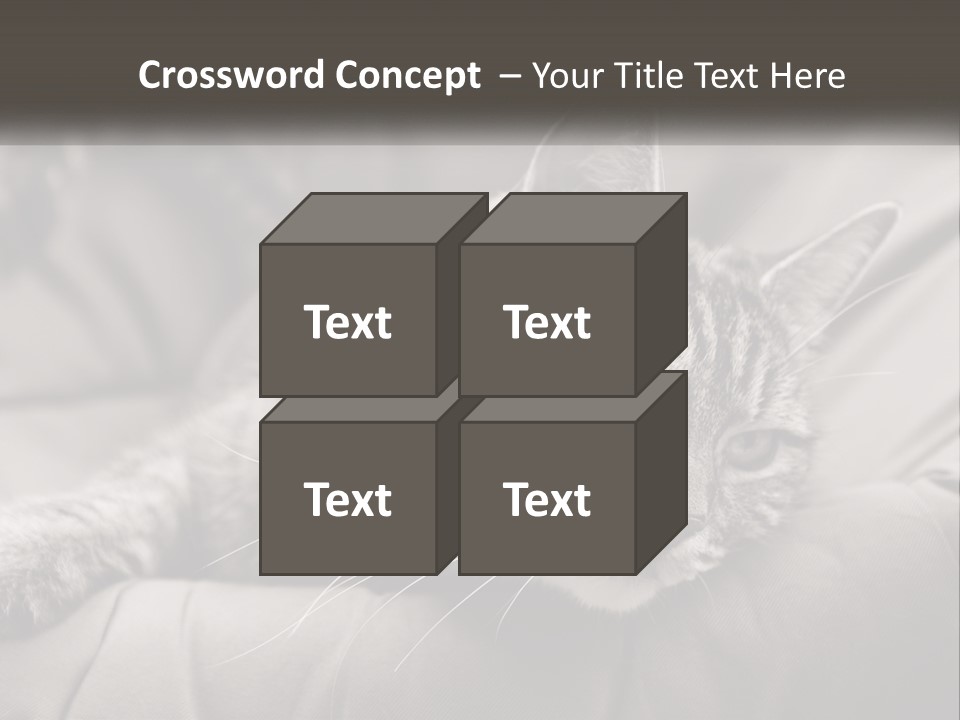 Tail Stripes White PowerPoint Template