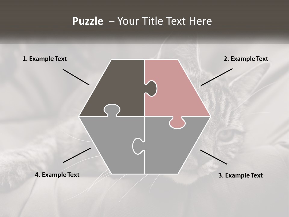 Tail Stripes White PowerPoint Template