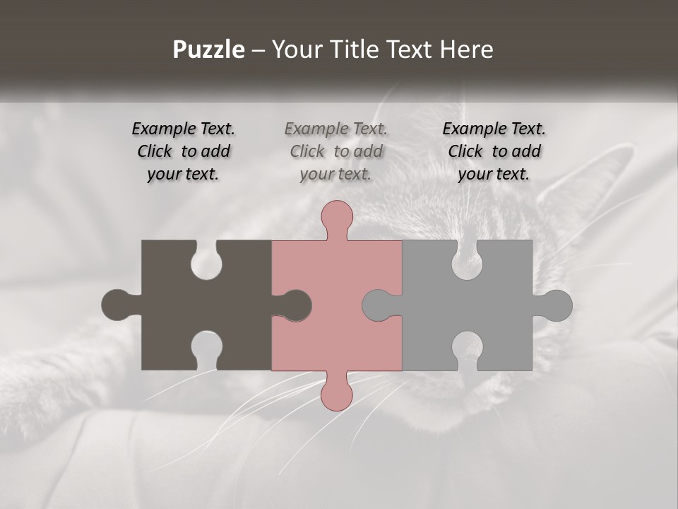 Tail Stripes White PowerPoint Template