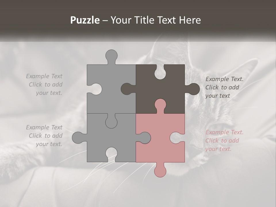 Tail Stripes White PowerPoint Template