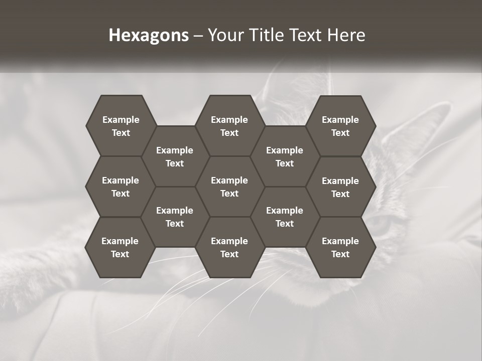 Tail Stripes White PowerPoint Template