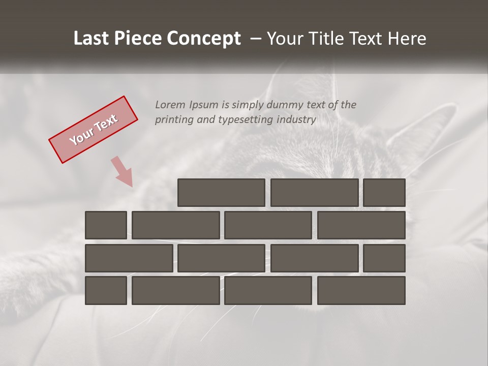 Tail Stripes White PowerPoint Template