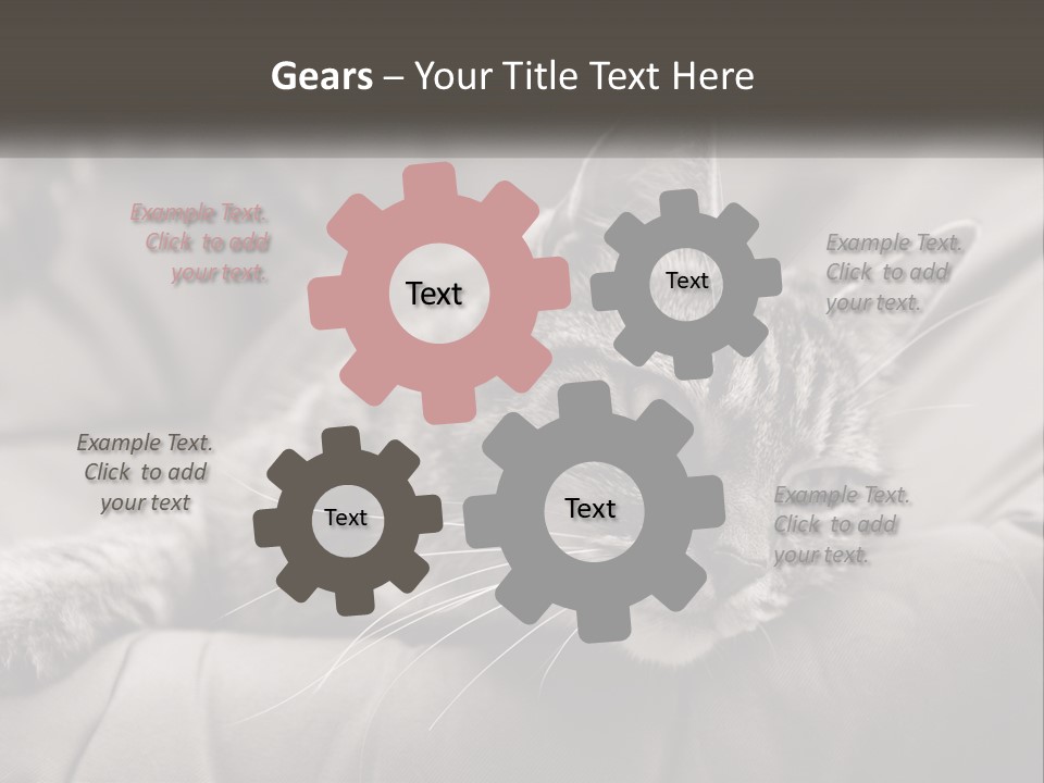 Tail Stripes White PowerPoint Template