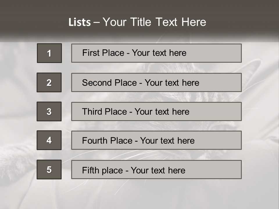 Tail Stripes White PowerPoint Template