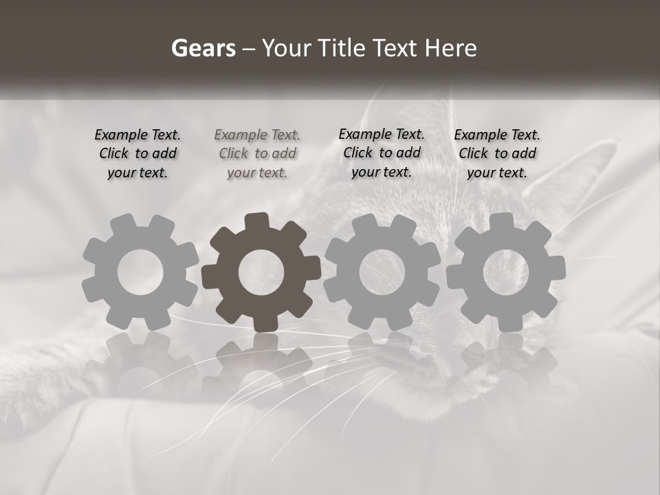 Tail Stripes White PowerPoint Template