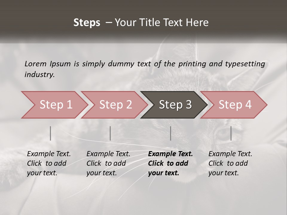 Tail Stripes White PowerPoint Template