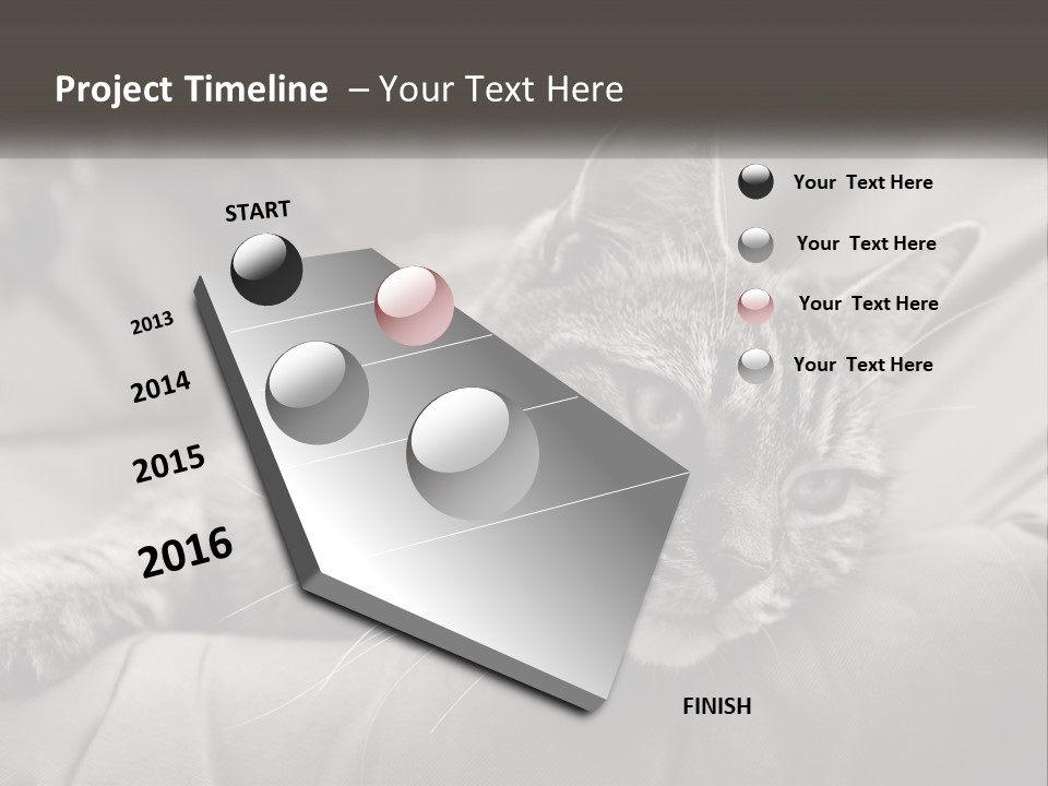 Tail Stripes White PowerPoint Template