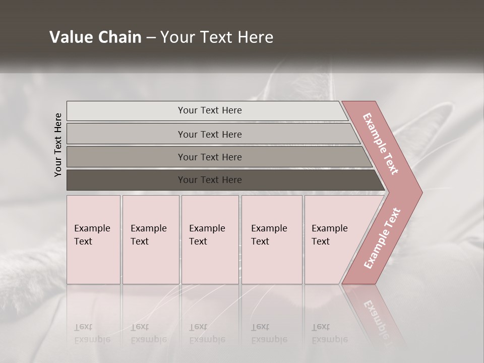 Tail Stripes White PowerPoint Template