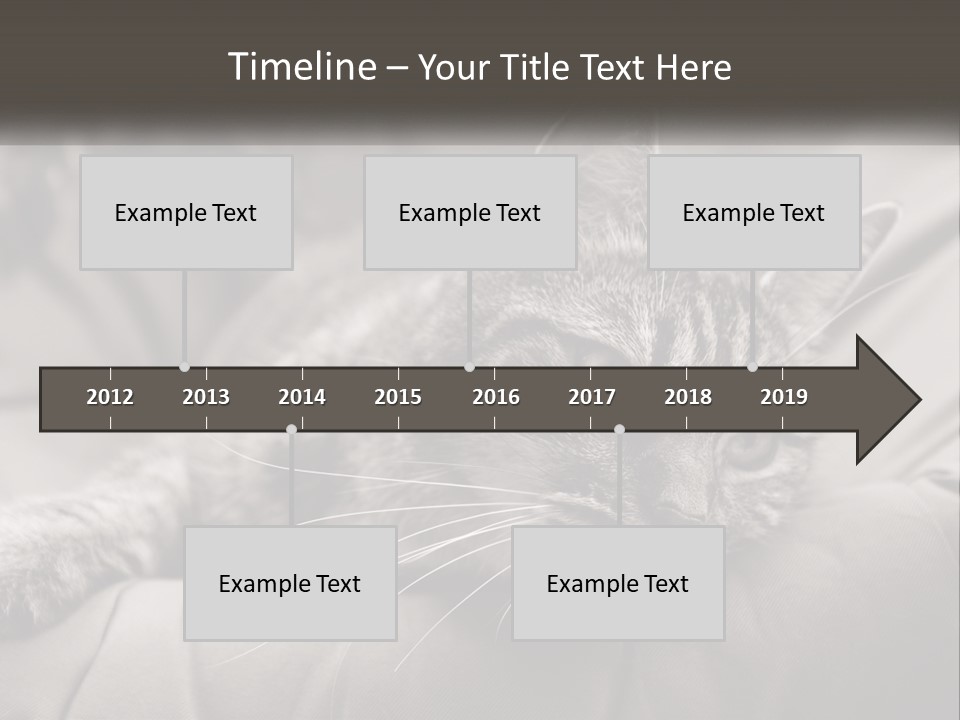 Tail Stripes White PowerPoint Template