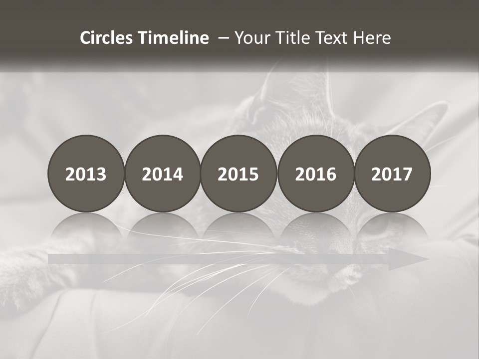 Tail Stripes White PowerPoint Template