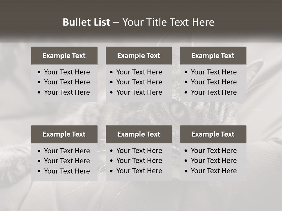 Tail Stripes White PowerPoint Template