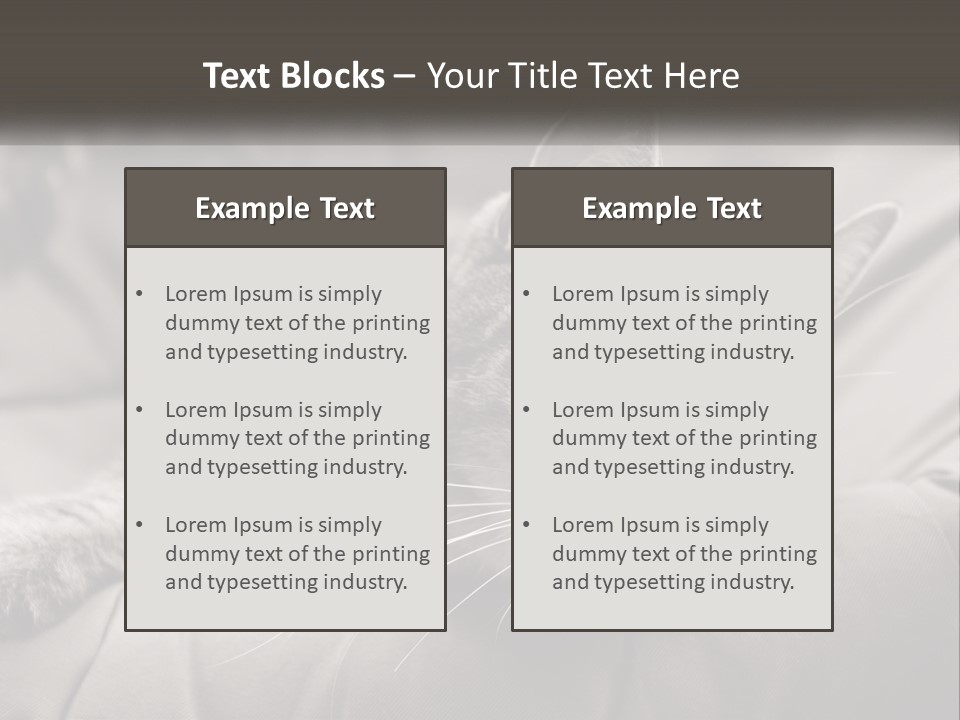 Tail Stripes White PowerPoint Template