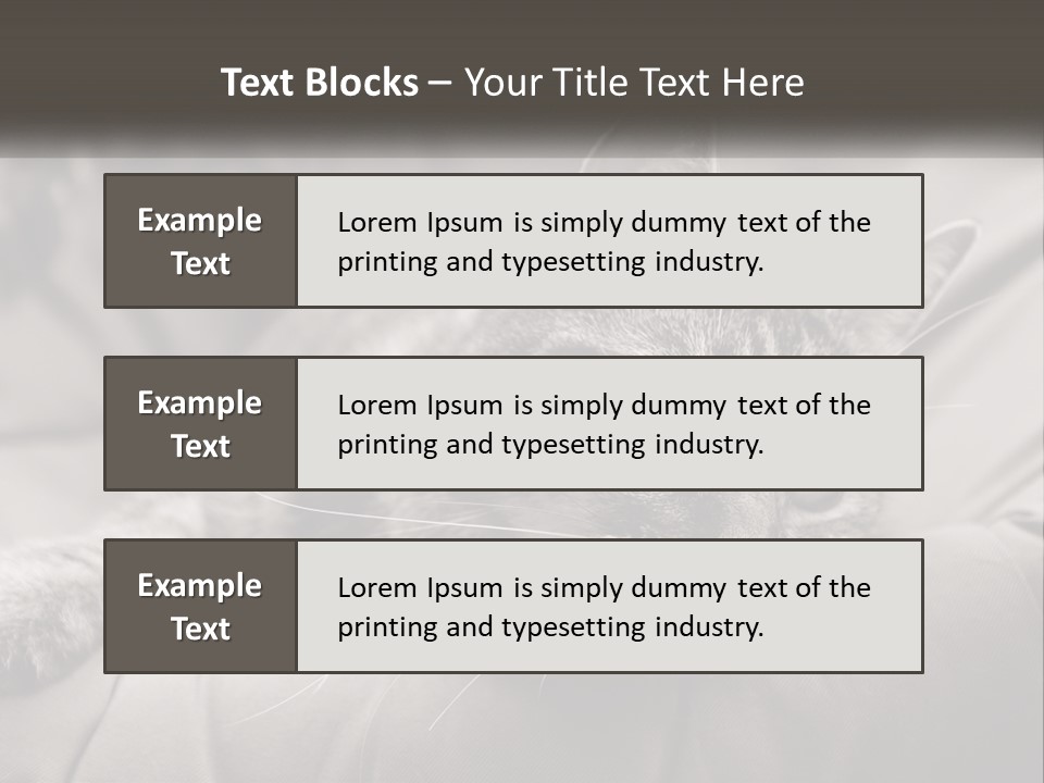 Tail Stripes White PowerPoint Template