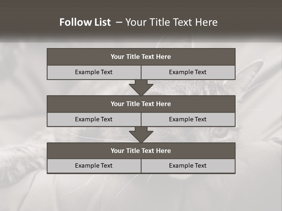 Tail Stripes White PowerPoint Template