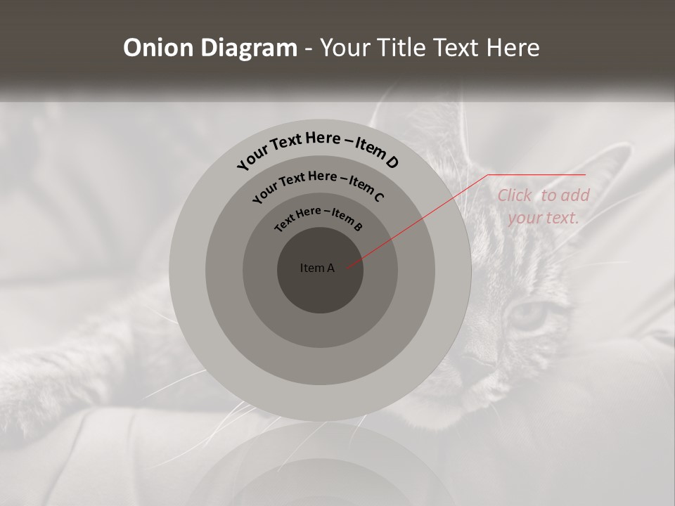 Tail Stripes White PowerPoint Template