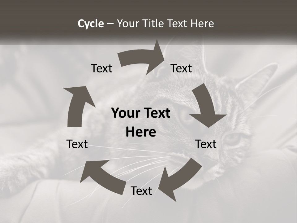 Tail Stripes White PowerPoint Template