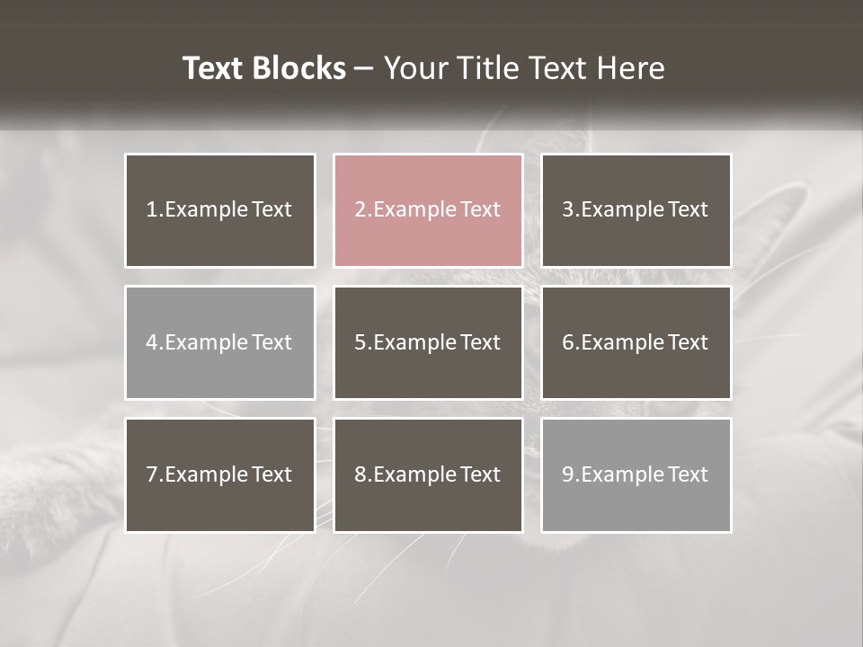 Tail Stripes White PowerPoint Template