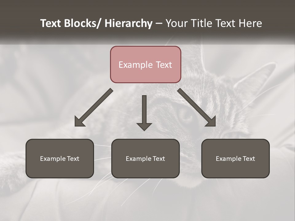 Tail Stripes White PowerPoint Template