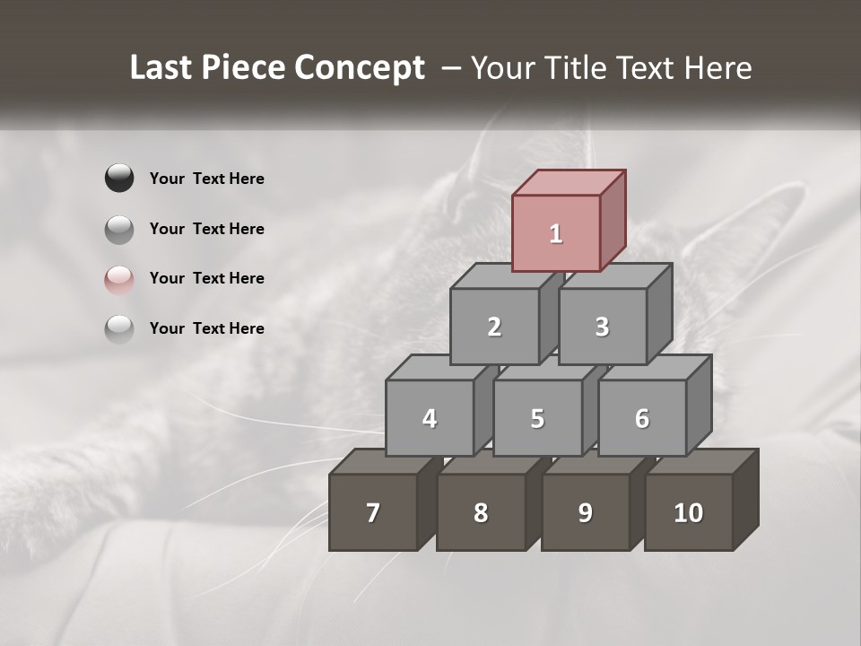 Tail Stripes White PowerPoint Template