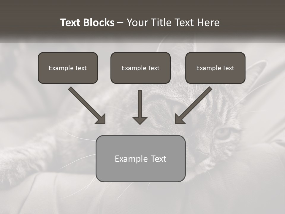 Tail Stripes White PowerPoint Template