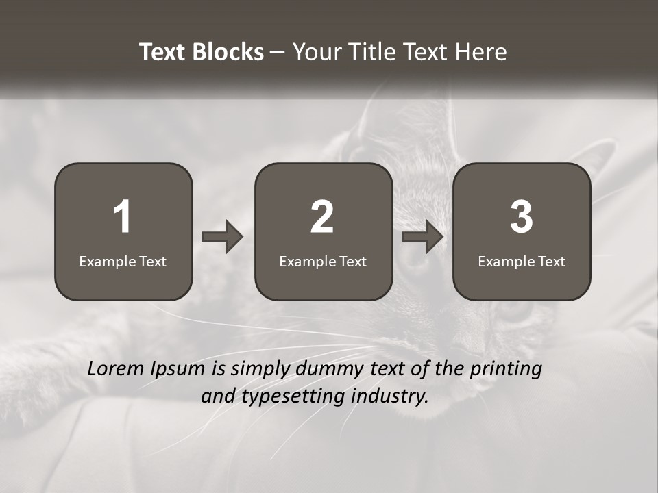 Tail Stripes White PowerPoint Template